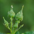 4E0L3U