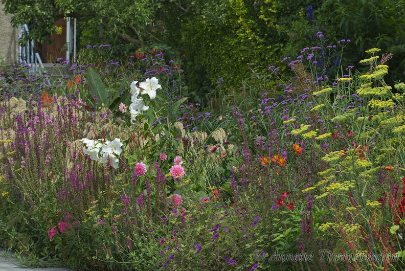 4I9YEZ.jpg
