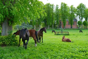 4W0G9R