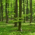 6G2EBX