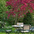 6G2VJY