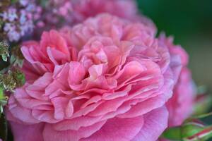 6K2QFJ