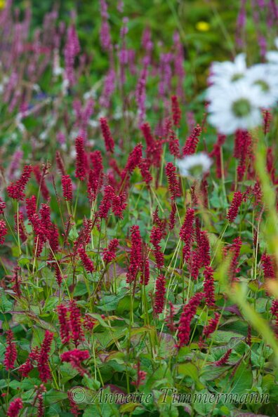 76S0WC.jpg