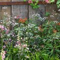 7IABNQ