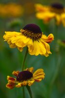 7MTJ7C