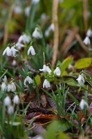 7W8JDY