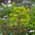 7ZKE28