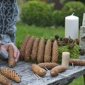 8U4XOA.jpg