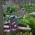 916RZO