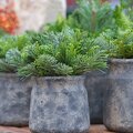9C8CZC