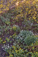 9G1VVC
