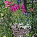 A2KCWM