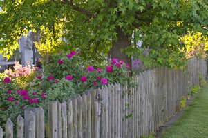 B71LZW