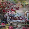 BW0HQ7